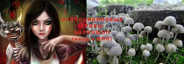 PSILOCYBIN Беломорск